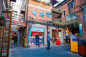 Shanghai Private Contemporary Art and History Walking Tour