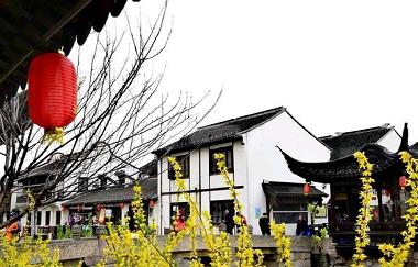 Nanxiang Ancient Town