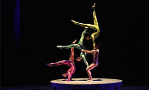 Shanghai Acrobatic Show Watching with Round Way Transfer