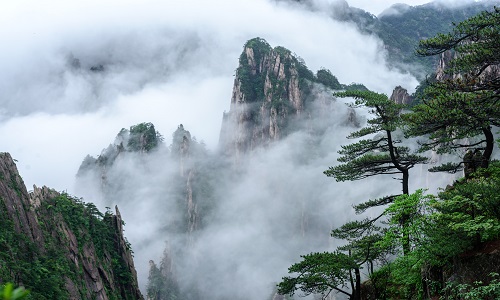 Huangshan Tour From Shanghai: All Inclusive 3-Day Huangshan Tour with Xidi Ancient Village