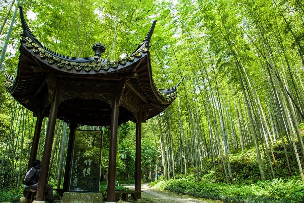 Bamboo-Path-At-Yunqi