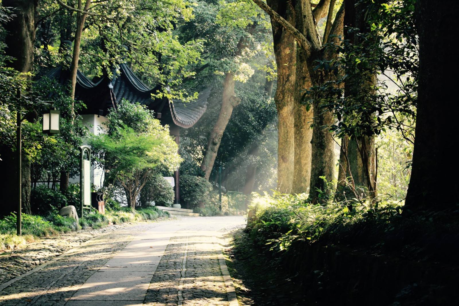 Bamboo-Path-at-Yunqi