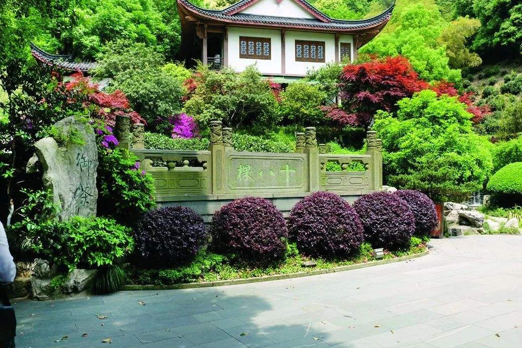 Longjing-Imperial-Tea-Garden