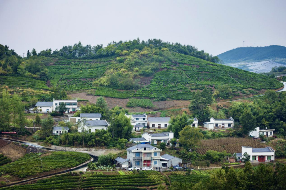 Longjing-village