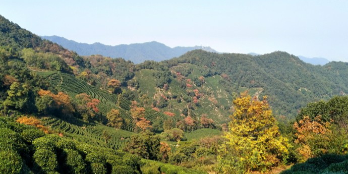 wu-yun-mountain