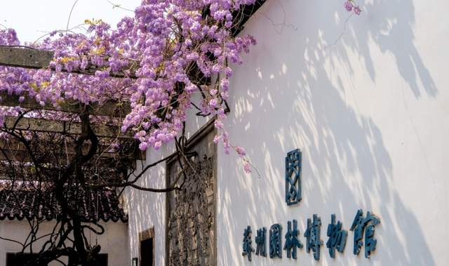 Garden-Museum-in-Suzhou