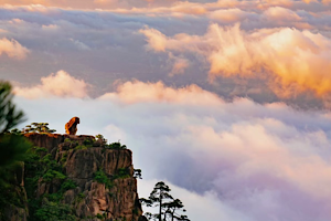 Monkey-watching-the-sea-Huangshan