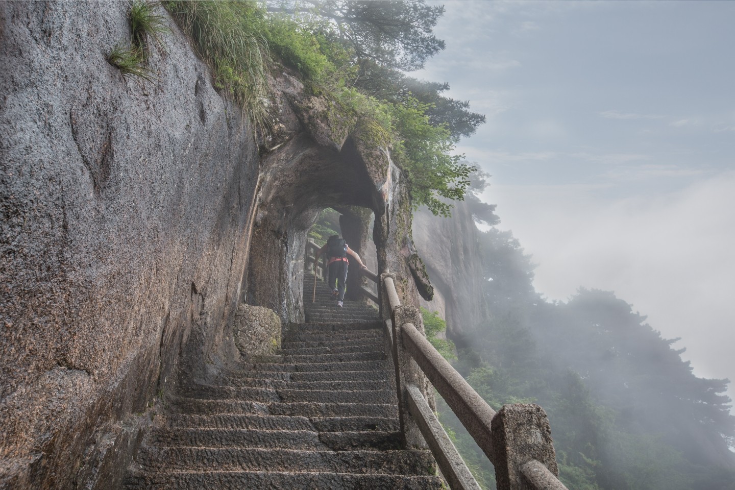 One-Hundred-Cloud-Ladder