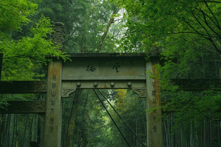 Bamboo-Lined-Path-at-Yunqi