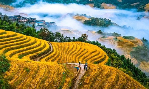 Autumn-in-Guilin-Longsheng