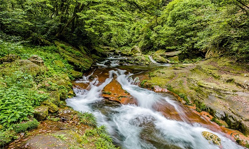 Golden-Whip-Stream-in-Zhangjiajie