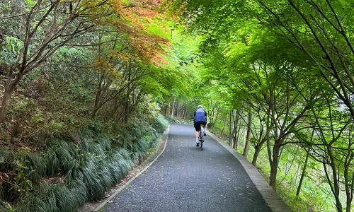 Cycling-in-Xixi-Wetlands