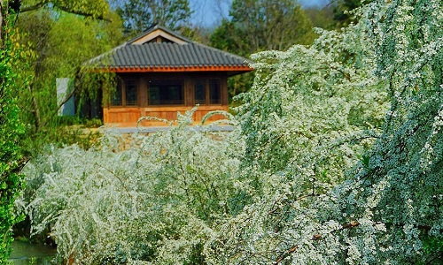 tea-museum-hangzhou