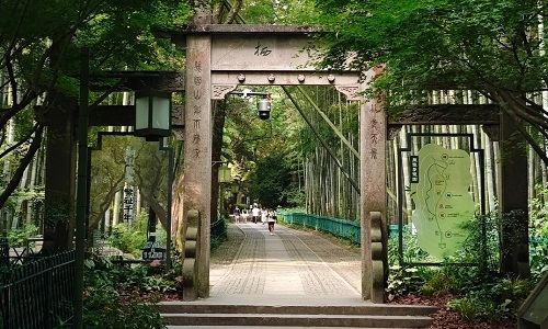 Bamboo-Lined-Path-at-Yunqi-hz