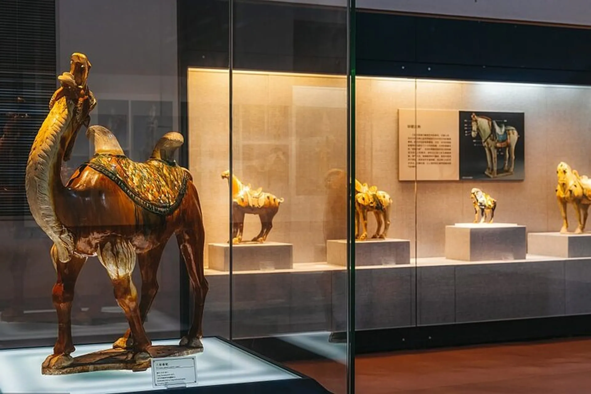 luoyang-museum-and-luoyang-city-private-tour luoyang-museum-and-luoyang-city-private-tour