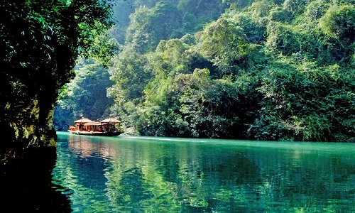 Shennv-Stream Shennv-Stream