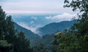 Qingcheng-Mountain-2